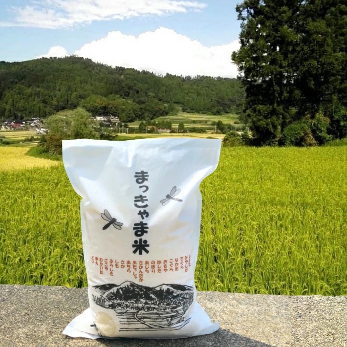 令和7年度産【特別栽培米】 石川県産こしひかり 棚田米【玄米】 5kg まっきゃま米石川県金沢市18000米・パン玄米・雑穀米・もち米・餅
