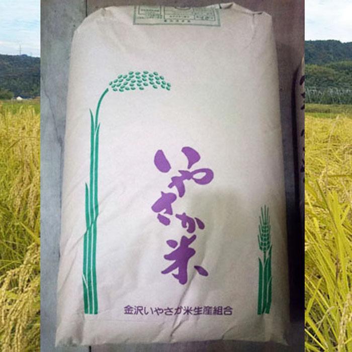 令和7年産 新米 金沢いやさか米 コシヒカリ(精米)30kg石川県金沢市66000米・パン白米