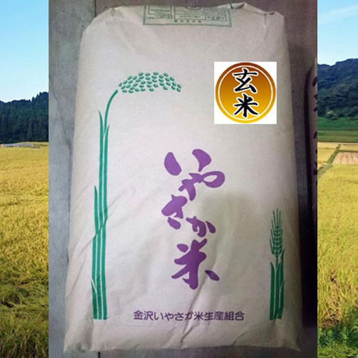 令和7年産 新米 金沢いやさか米 コシヒカリ(玄米)30kg石川県金沢市60000米・パン白米