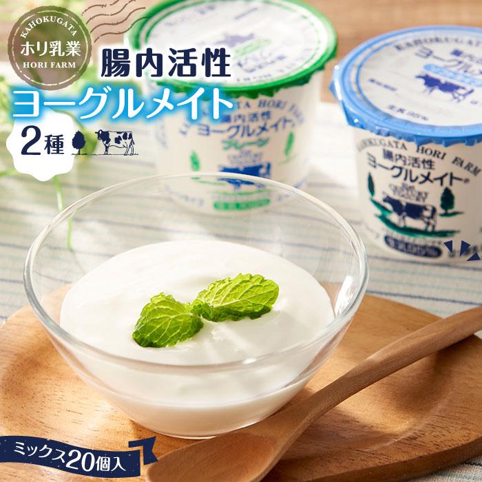 【ホリ乳業】腸内活性 ヨーグルメイト 2種ミックス20個入石川県金沢市14000鍋セット・総菜・加工食品その他 鍋セット・総菜・加工食品