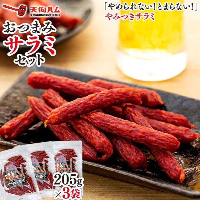 【天狗ハム】おつまみサラミセット石川県金沢市10000肉その他 肉