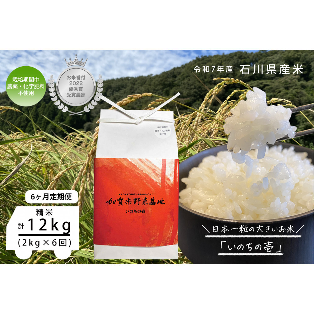 sߘa7NY Vāty6ցzyĔԕtDG܎ܔ_Ɓz{ꗱ̑傫āŵ̈x2kg×6ΐ쌧s68000āEp