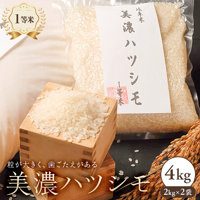 2024年産米 美濃ハツシモ 1等米4kg(2kg×2袋)【0021-006】岐阜県可児市15000米・パン白米