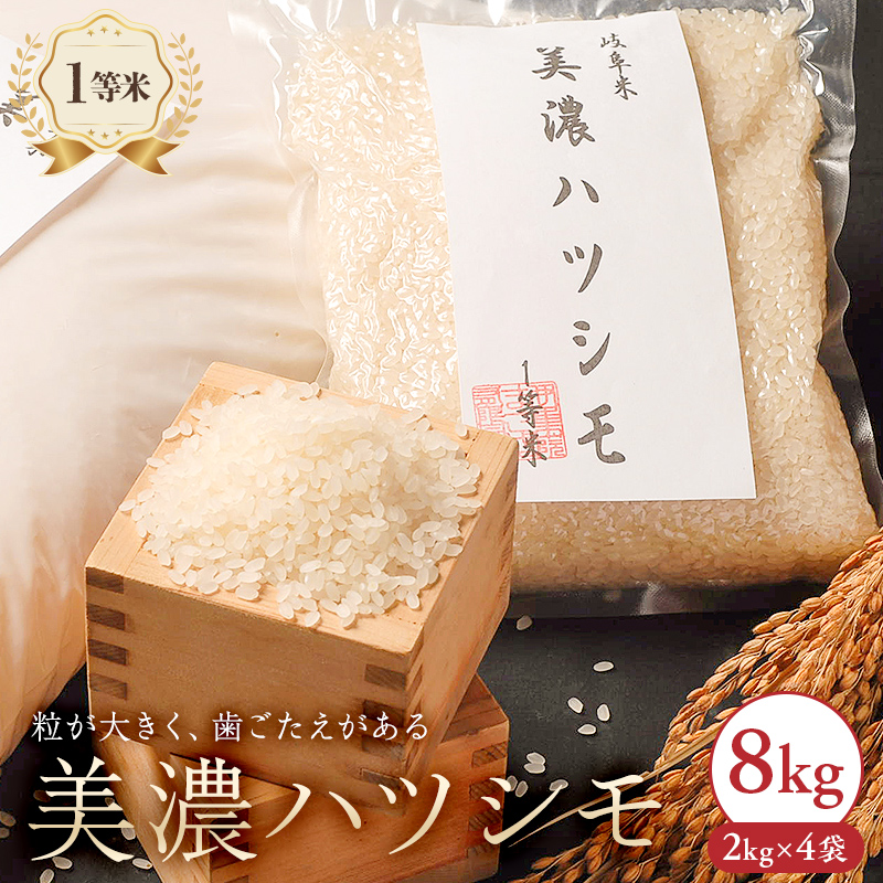 2024年産米 美濃ハツシモ 1等米8kg(2kg×4袋)【0021-007】岐阜県可児市27000米・パン白米