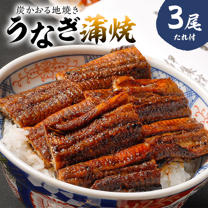 本格炭火焼 うなぎ蒲焼(たれ付き)3尾 【0021-010】岐阜県可児市40000魚介・海産物うなぎ
