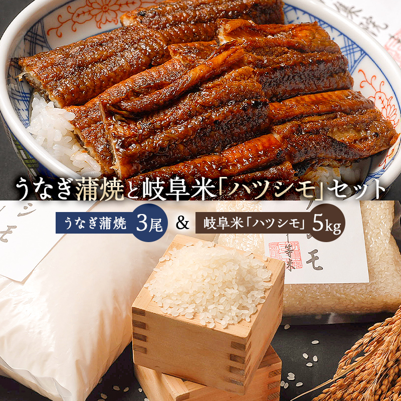 「炭かおる地焼き うなぎ蒲焼(たれ付)3尾」と「2024年産米 岐阜米ハツシモ1等米5kg」【0021-014】岐阜県可児市57000米・パン白米