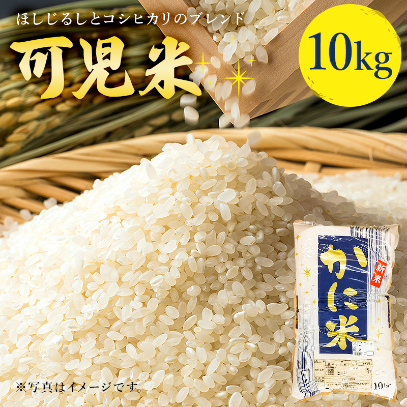 可児米(ほしじるしとコシヒカリのブレンド) 10kg【0059-004】岐阜県可児市16000米・パン白米