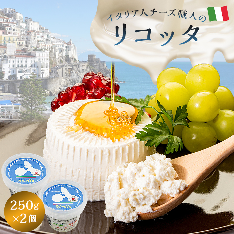 リコッタ Ricotta 250g 2個セット【0073-001】岐阜県可児市13000卵・乳製品チーズ