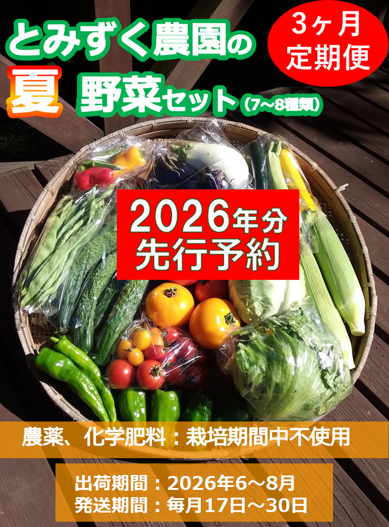 【2026年先行予約・3ヶ月連続定期便】とみずく農園の夏野菜セット (北海道・沖縄県・離島は配送不可) 無農薬 高原野菜 旬 新鮮 詰合せ 【 産地直送 産直 季節の野菜 旬の野菜 有機野菜 有機