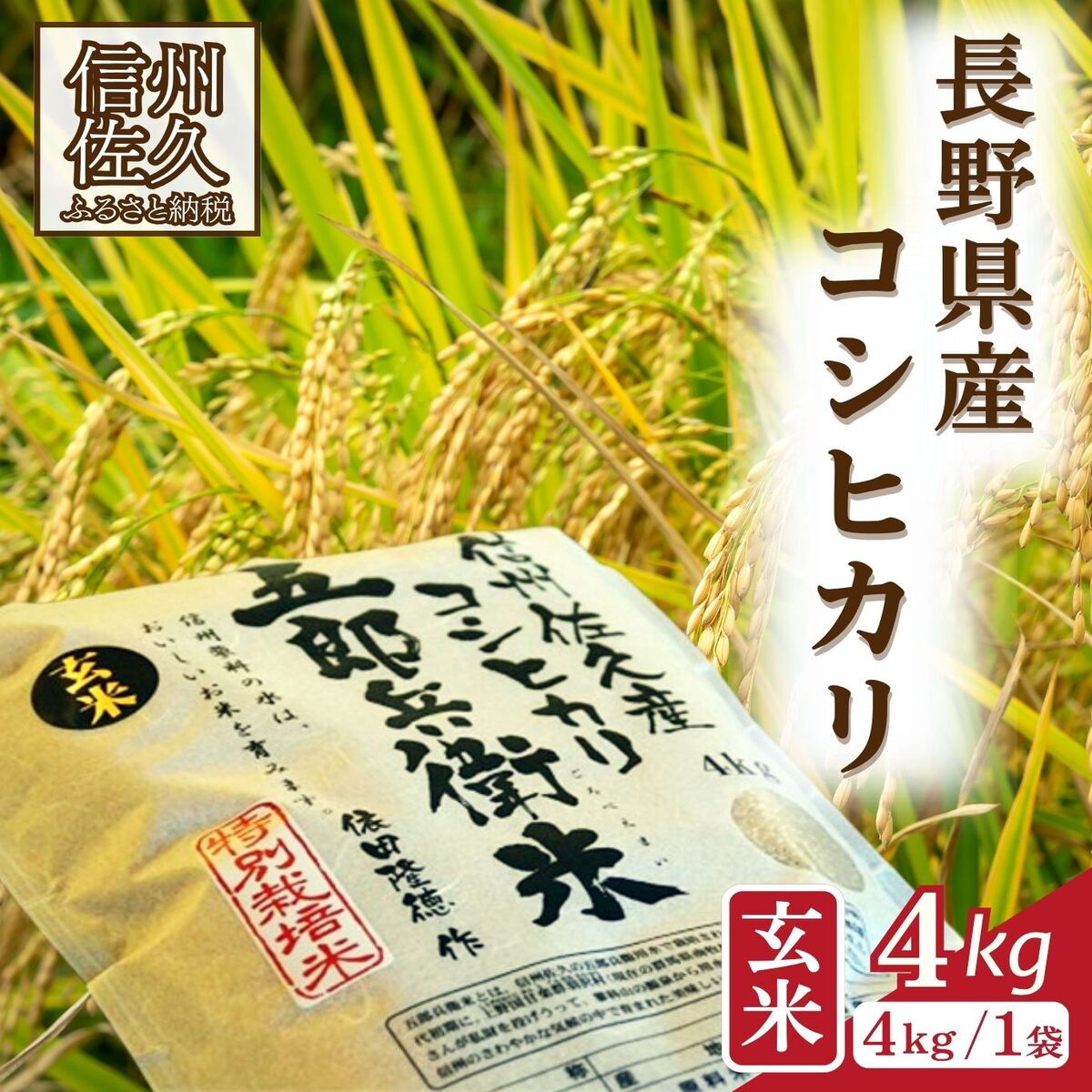 半額SALE☆ 農家直送令和6年11月22日収穫新米最上位等級特 米