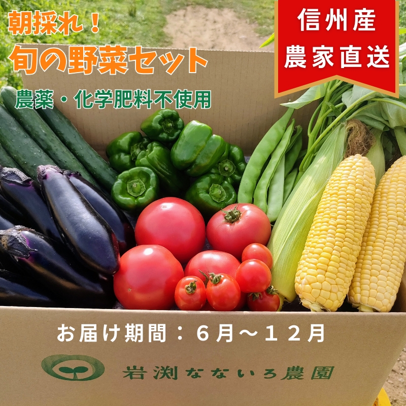 【産地直送・新鮮】朝採れおまかせ旬の高原野菜 7種セット (出荷時期 : 2025年6月〜12月/北海道・沖縄県・離島は配送不可)  |  信州 栽培期間中 無農薬  産直 季節 旬  岩渕なないろ農園 旬