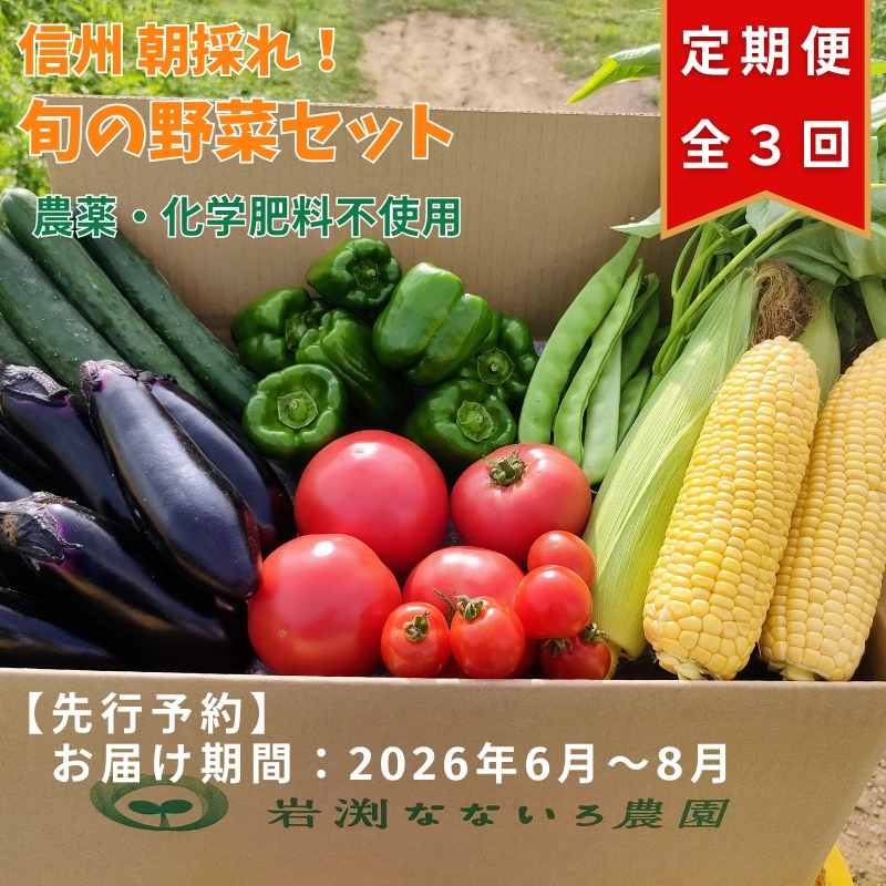 【先行予約・定期便全3回〈出荷時期:2026年6月〜8月出荷〉】朝採れおまかせ旬の高原野菜 7種セット (北海道・沖縄県・離島は配送不可) 長野県 信州 栽培期間中 無農薬 産地直送 季