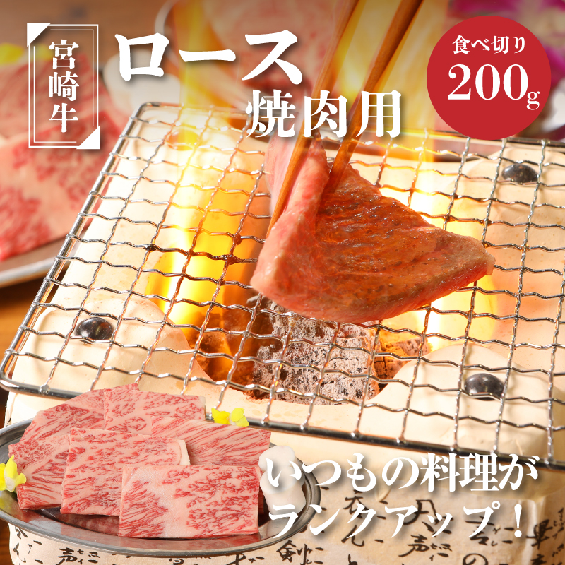 <宮崎牛ロース焼肉用200g> K01_0004_1宮崎県木城町13000肉牛肉