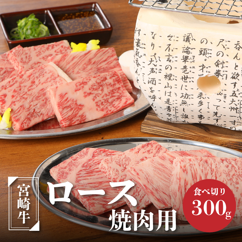 {苍[Xēp300g K01_0006_1{茧؏钬22000