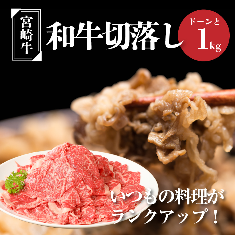 <宮崎牛 和牛 切り落とし1kg> K01_0011_1宮崎県木城町22000肉牛肉