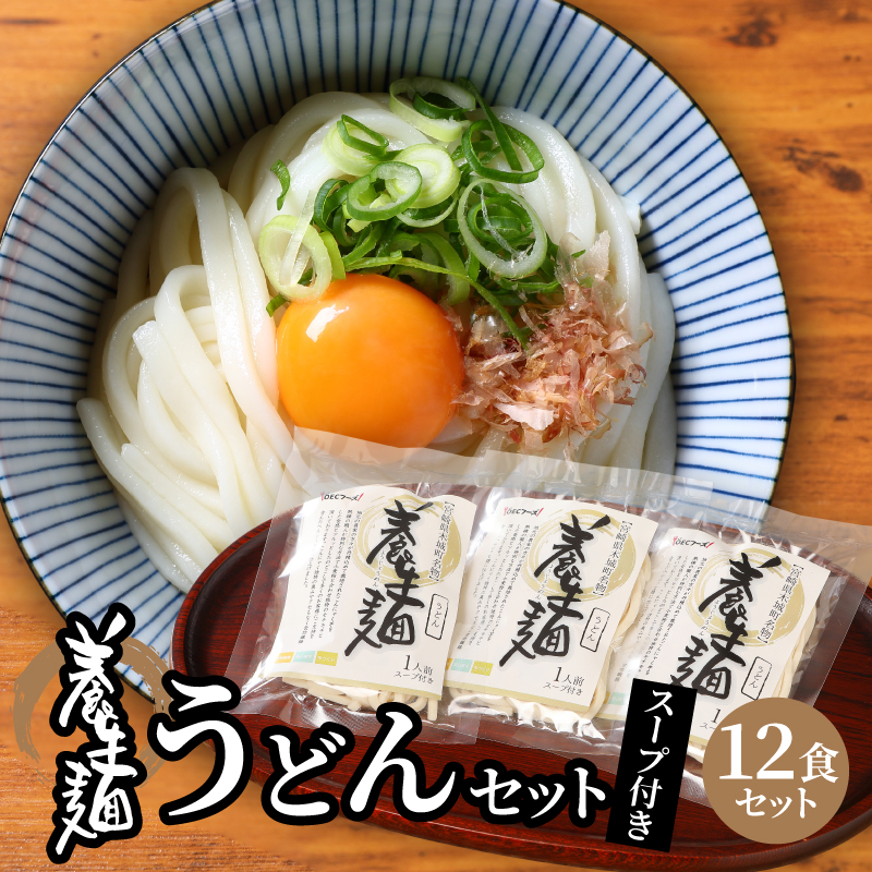 <養生麺うどん詰合せ 12袋入り> K10_0002_2宮崎県木城町13500麺