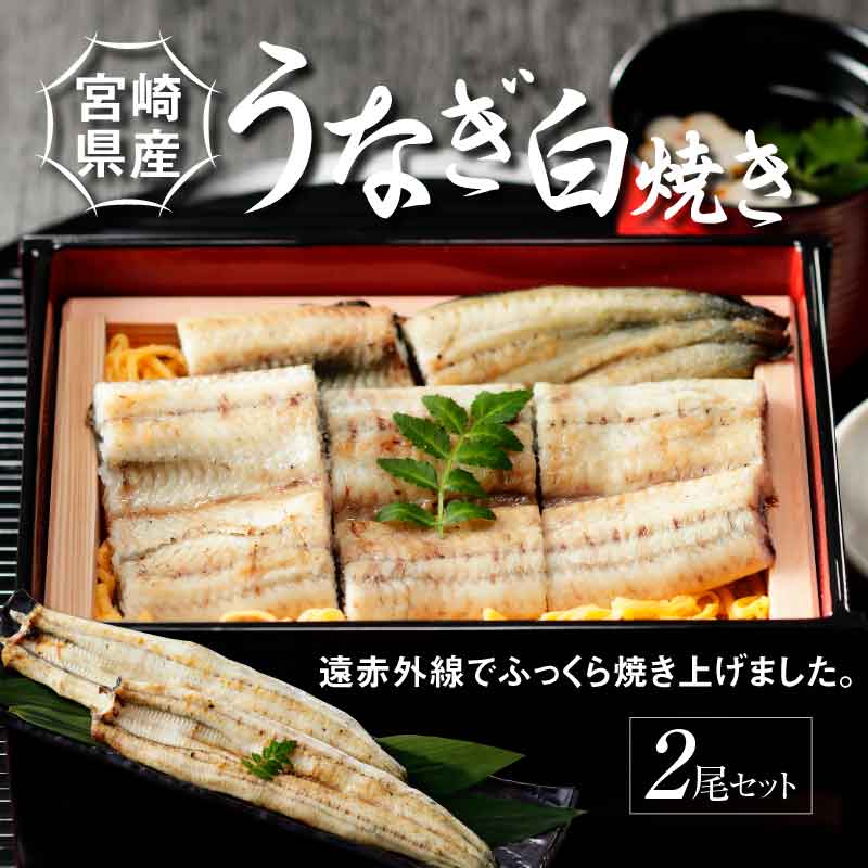 {茧Y Ȃ Ă 2Zbg K10_0006_3{茧؏钬25000˂߂EЂނ