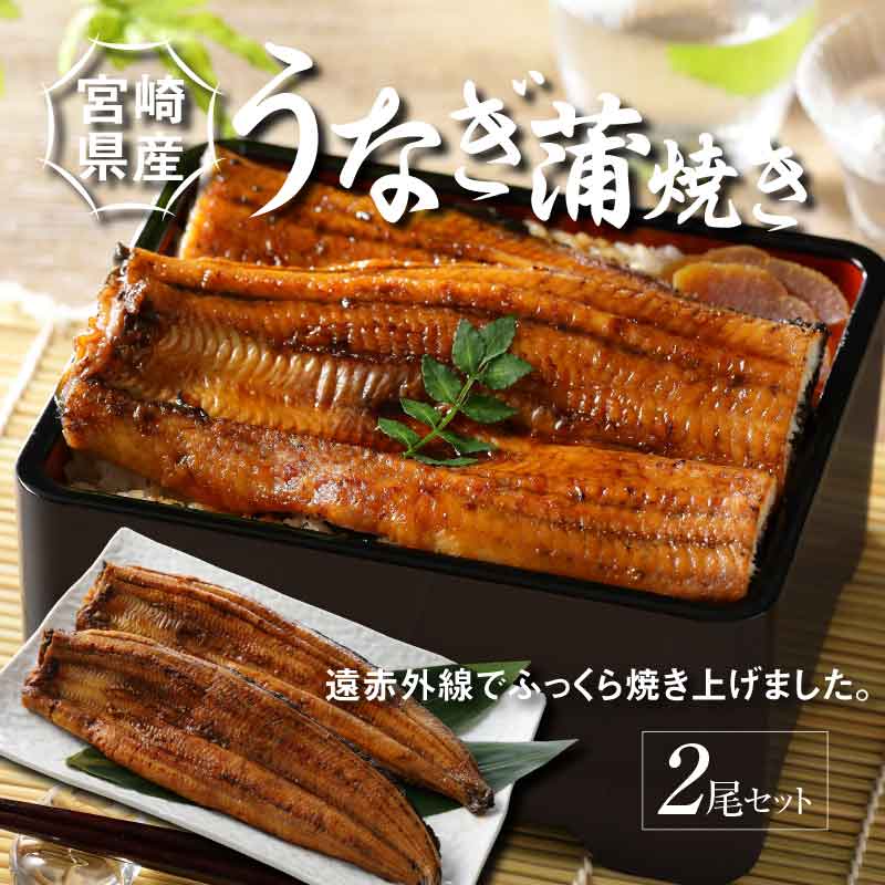 宮崎県産 うなぎ 蒲焼き 2尾セット K10_0007_3宮崎県木城町25000麺そうめん・ひやむぎ