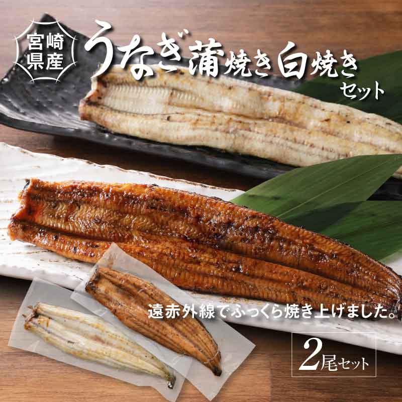 宮崎県産 うなぎ 白焼き 蒲焼き 2尾セット K10_0008_3宮崎県木城町25000麺そうめん・ひやむぎ