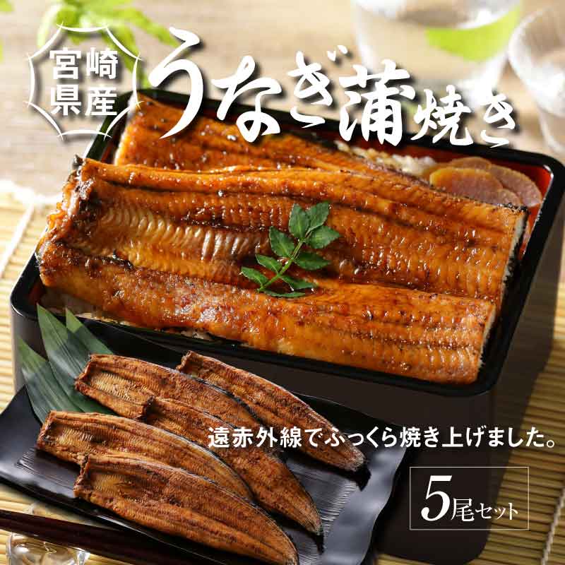 宮崎県産 うなぎ 蒲焼き 5尾セット K10_0011_2宮崎県木城町58500麺そうめん・ひやむぎ