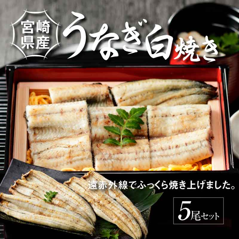 宮崎県産 うなぎ 白焼き 5尾セット K10_0012_2宮崎県木城町58500麺そうめん・ひやむぎ