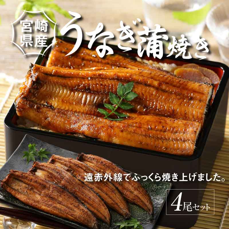 宮崎県産 うなぎ 蒲焼き 4尾セット K10_0015_2宮崎県木城町47000麺そうめん・ひやむぎ