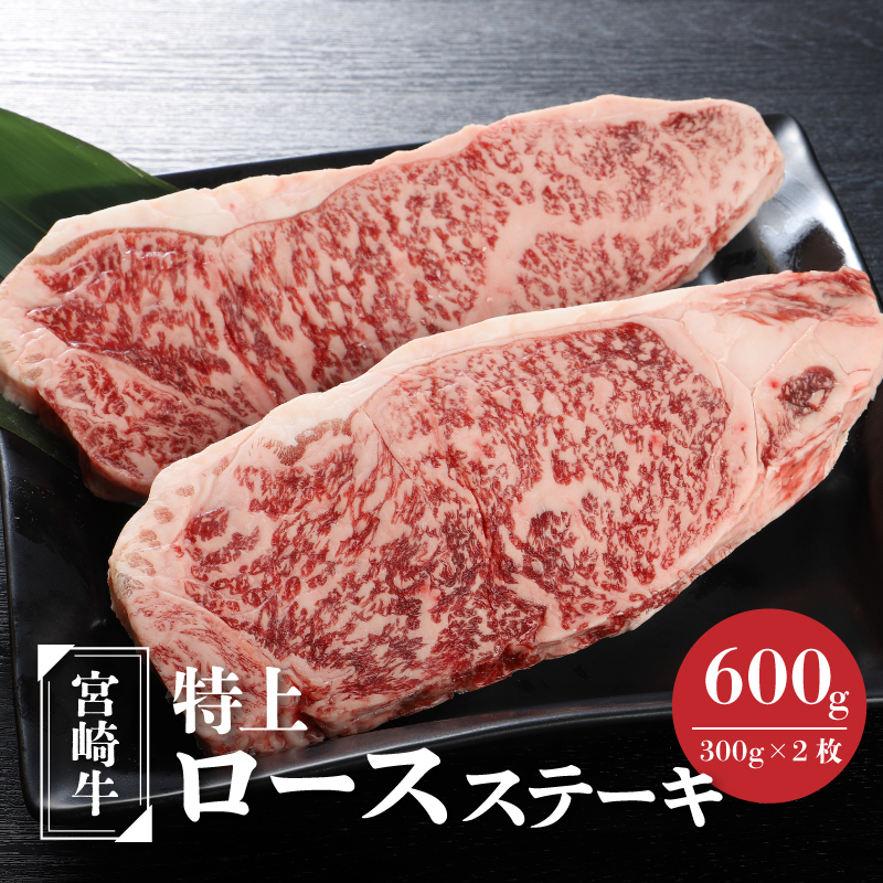 {苍 ネ[XXe[L A4ȏ 600g(300g×2)  K16_0009_2{茧؏钬22500ECY