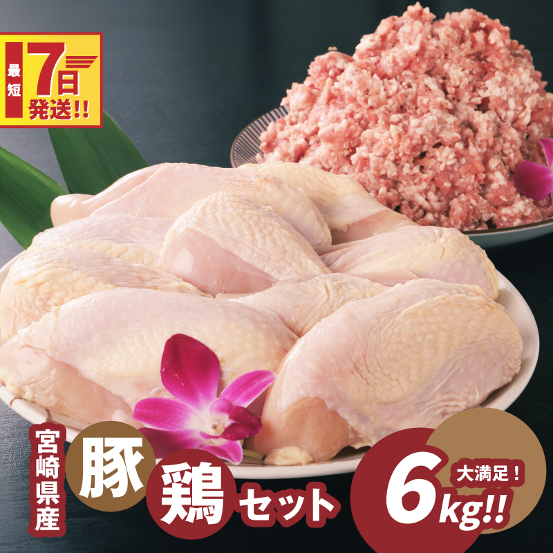 宮崎県産豚・鶏6kgセット K16_0028_2宮崎県木城町19000魚介・海産物鮮魚