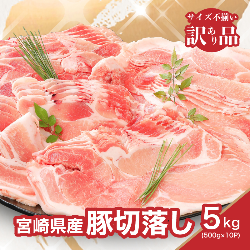 y󂠂z{茧Yؐ؂藎Ƃ5kg(500g×10pbN)  K16_0055_3{茧؏钬22000ECYqȆ
