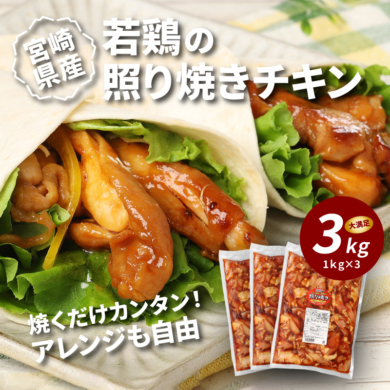 宮崎県産若鶏の照り焼きチキン K16_0059_2宮崎県木城町13500魚介・海産物鮮魚
