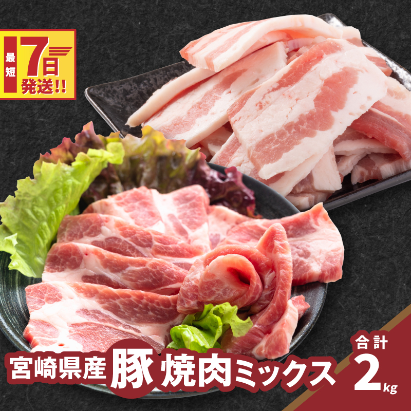 焼肉ミックス(バラ500g×2・肩ロース500g×2)計2kg K16_0120宮崎県木城町16500肉豚肉