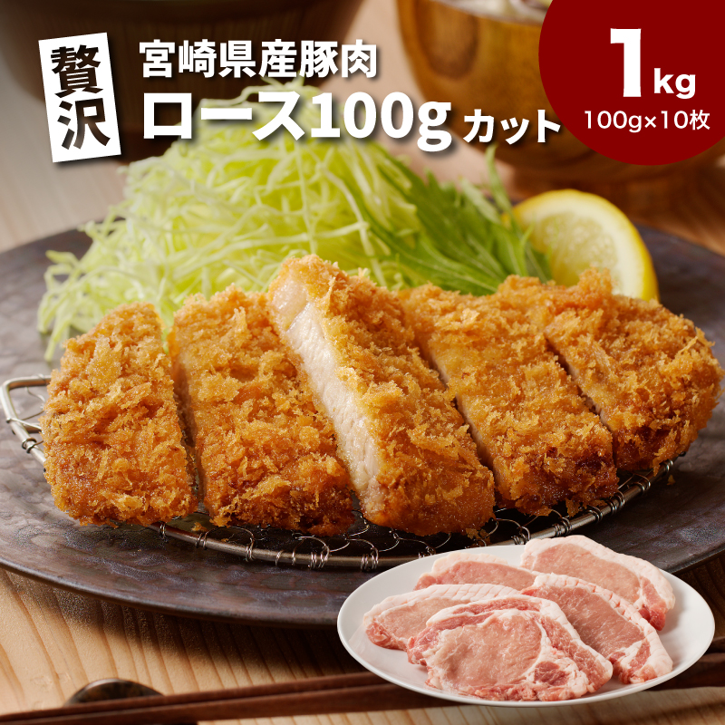 贅沢宮崎県産豚肉ロース100gカット10枚 K16_0149宮崎県木城町9500肉豚肉