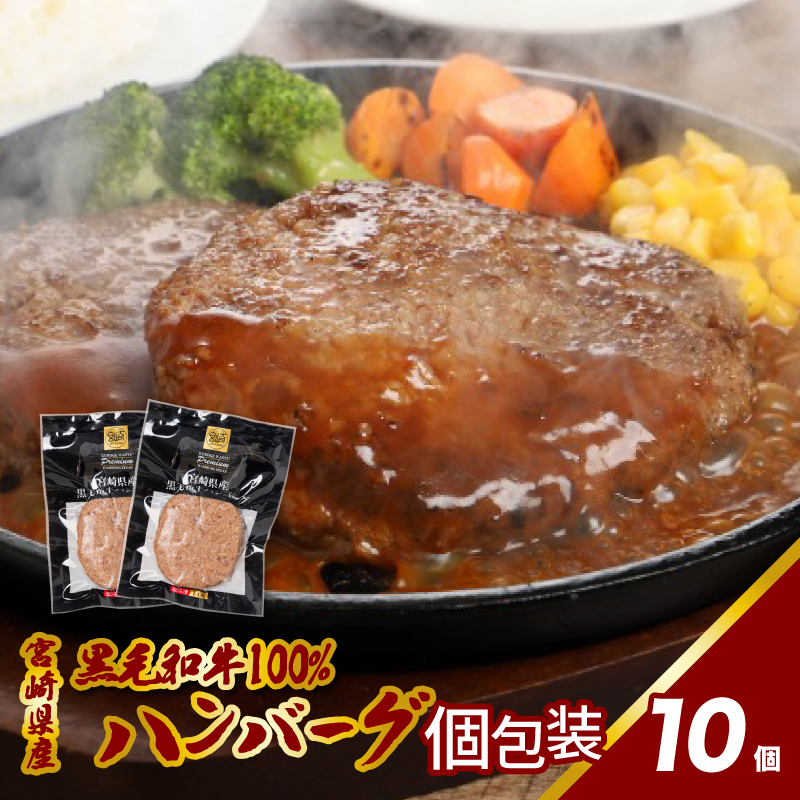 宮崎県産黒毛和牛100%ハンバーグ(10個/冷凍)  K16_0160宮崎県木城町11500肉