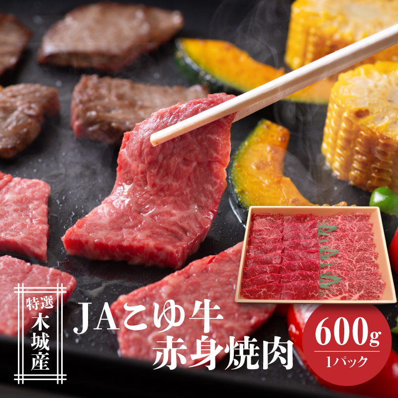 JA䋍 I؏Y Ԑg(EEf)600 ēp K56_0007{茧؏钬19000