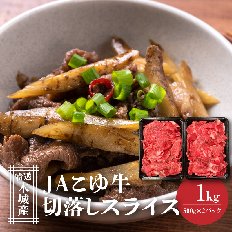 JA䋍iI؏Yjؗ500×2 XCX  K56_0011{茧؏钬22000