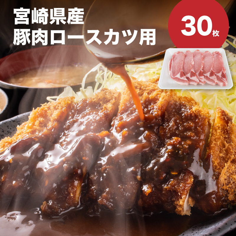 {茧Yؓ[XJcp30Zbg@K65_0004{茧؏钬22500