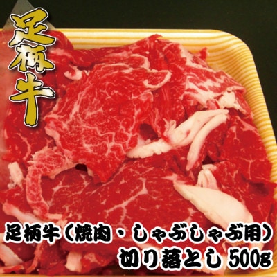 足柄牛【焼肉・しゃぶしゃぶ用】切り落とし500g【配送不可地域:離島】【1507076】神奈川県大井町6000肉牛肉