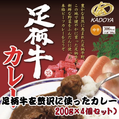 足柄牛を贅沢に使ったカレー200g×4個セット【配送不可地域:離島】【1507100】神奈川県大井町10000鍋セット・総菜・加工食品カレー・シチュー