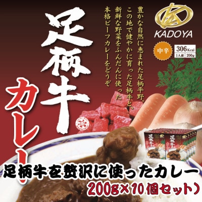 足柄牛を贅沢に使ったカレー200g×10個セット【配送不可地域:離島】【1507107】神奈川県大井町26000鍋セット・総菜・加工食品カレー・シチュー