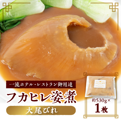 「フカヒレ姿煮」大尾びれ1枚入り(530g×1枚) 尾びれ重さ約201-240g【配送不可地域:離島】【1414092】千葉県館山市50000魚介・海産物その他 魚介・海産物