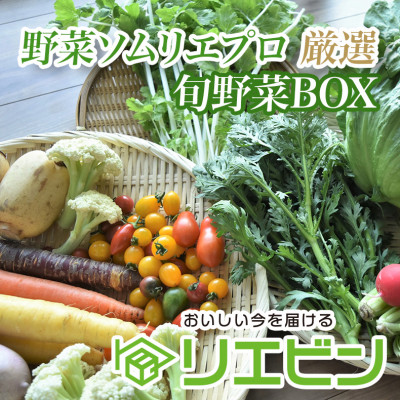 野菜ソムリエプロ厳選!こだわりの旬野菜BOX「リエビン」季節の野菜セット【配送不可地域:離島・沖縄】【1488314】千葉県館山市10000野菜・きのこその他 野菜