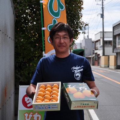 【先行受付】5月下旬より順次発送 露地栽培「房州びわ」 2L・3Lサイズ合計12粒 化粧箱入り【配送不可地域:離島】【1492169】千葉県館山市20000果物・フルーツその他 果物・フルーツ