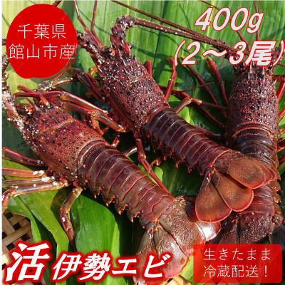 ys\zyjzt!tَRY VRwxɐCV 400g(2`3)yzsnFEkCEEkEElEBzy1532963ztَRs15000ECY