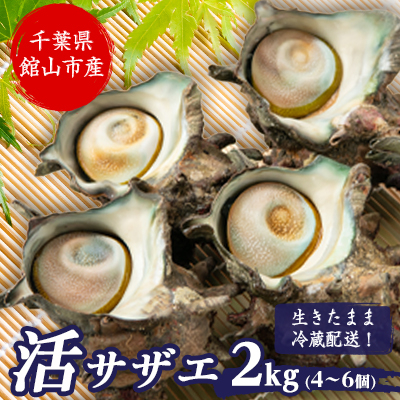 ys\zyjzt!VRԂ芈TUG@2kg(4`6)yzsnFEkCEEkEElEBzy1532979ztَRs20000ECYL