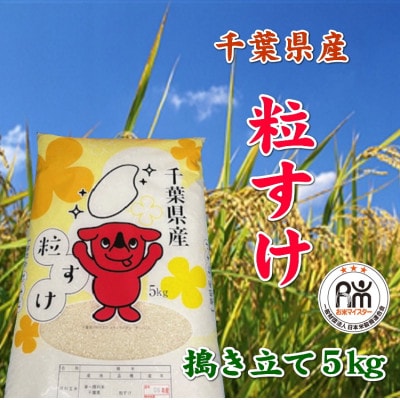 令和7年産千葉県産粒すけ精米5kg【1576623】千葉県館山市20000米・パン白米