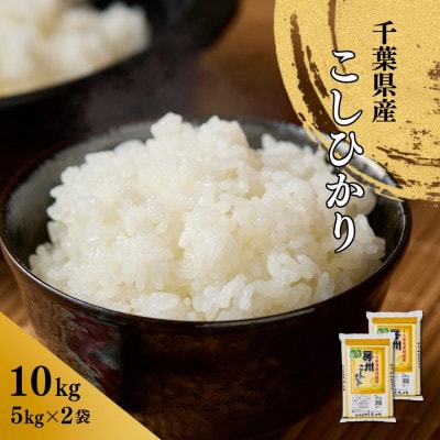 千葉県産こしひかり(精米)10kg(5kg×2袋)【1673834】千葉県館山市29000米・パン白米