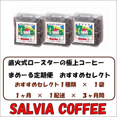 【毎月定期便】まめーる店主おすすめセレクト200g【粉】全3回【4053862】千葉県館山市15000お茶・飲料コーヒー・紅茶
