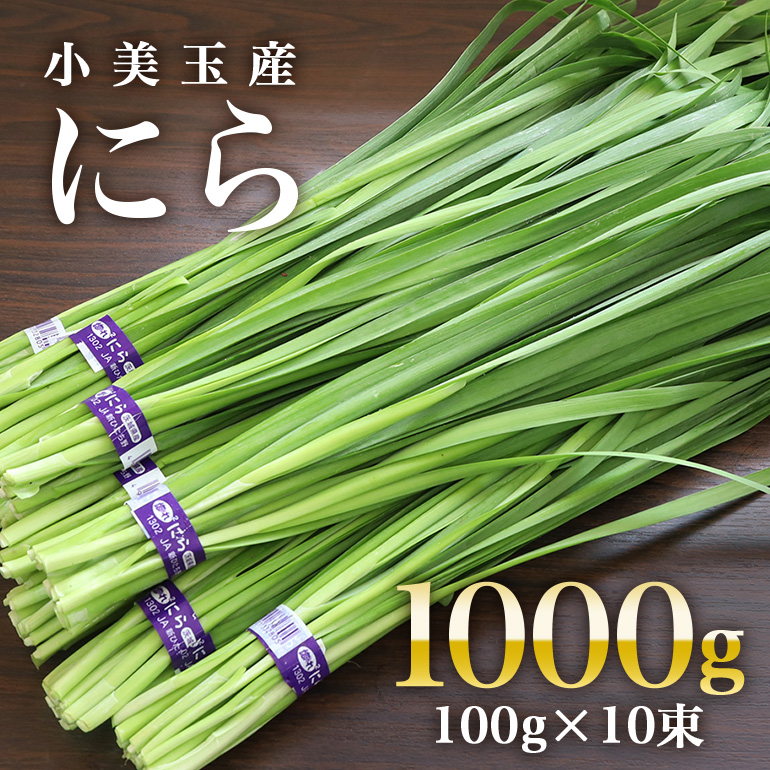 【数量限定・期間限定】 小美玉市産にら 100g×10束 17-AA茨城県小美玉市6000野菜・きのこその他 野菜