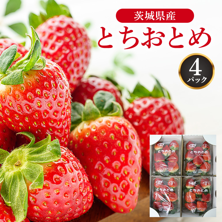 いちご(とちおとめ) 17-O茨城県小美玉市11000果物・フルーツいちご