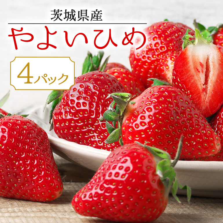 i悢Ђ߁j 17-T錧ʎs11000ʕEt[c
